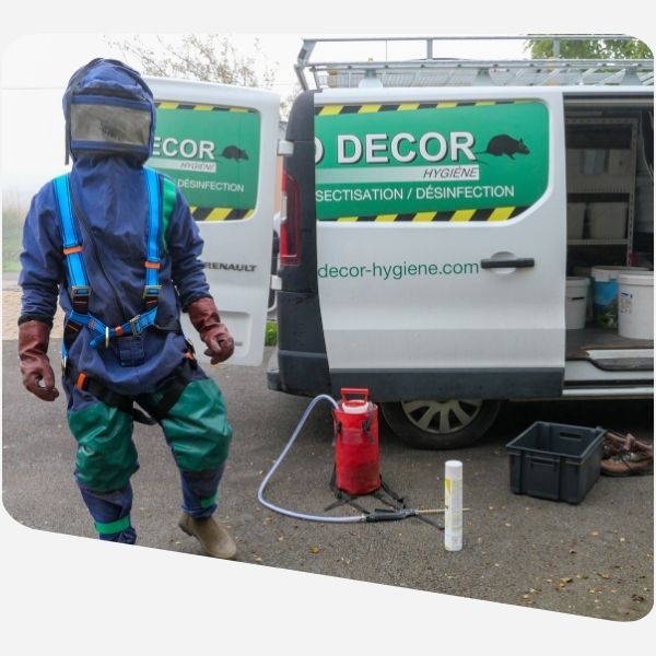 Entreprise de desinsectisation
