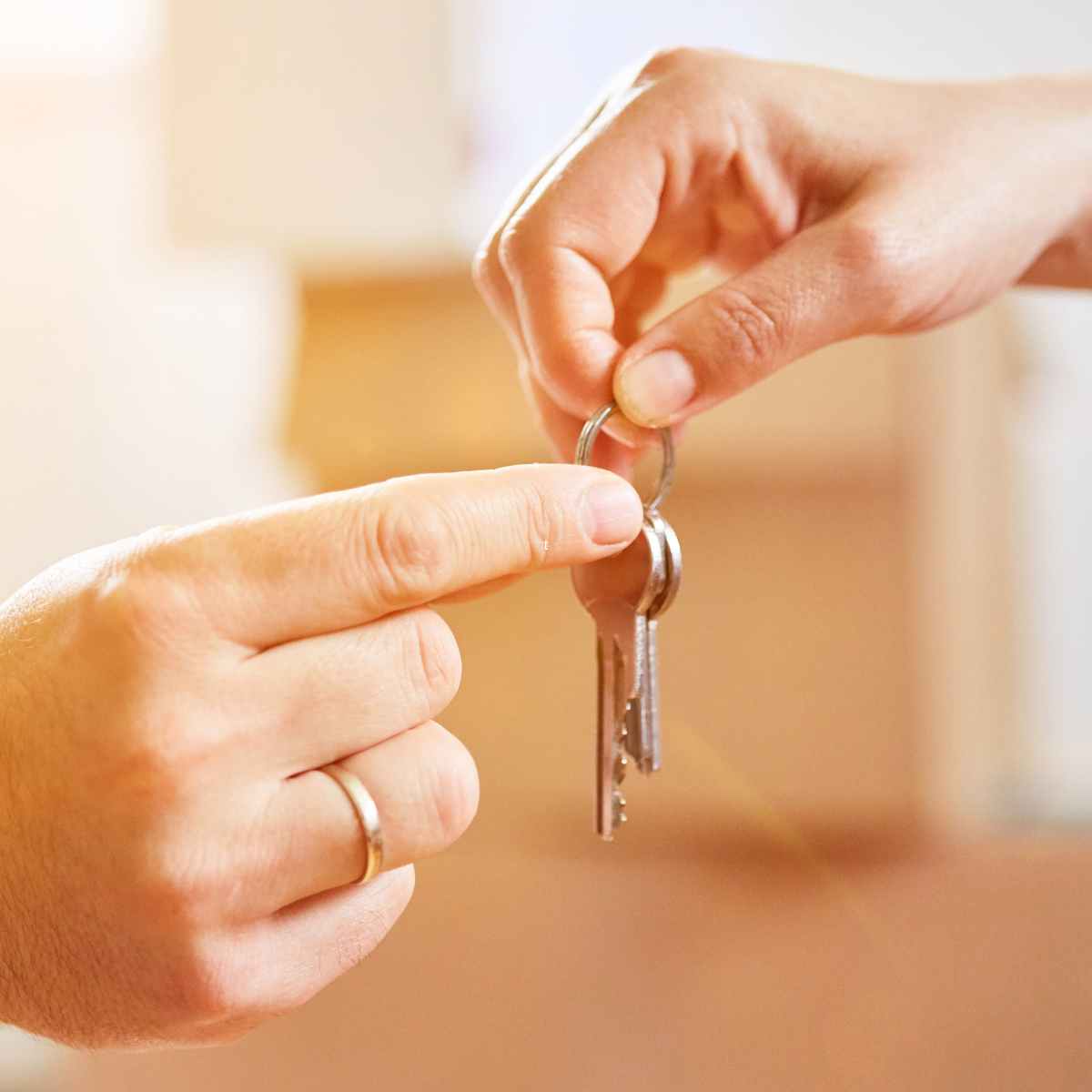 Vente Et Location Immobilière